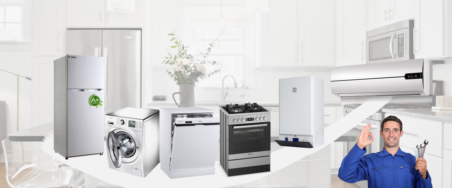 Manyas Silverline Servisi